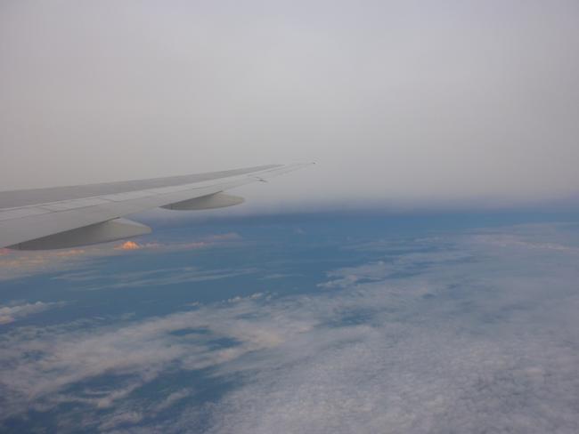 P1000695.jpg